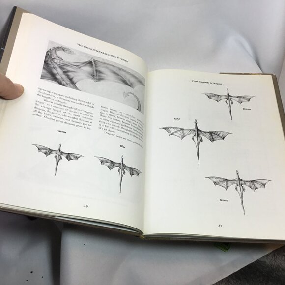 The Dragonlover's Guide To Pern by Jody Lynn Nye & Anne McCaffrey HC/DJ 1989 1st - Picture 15 of 16